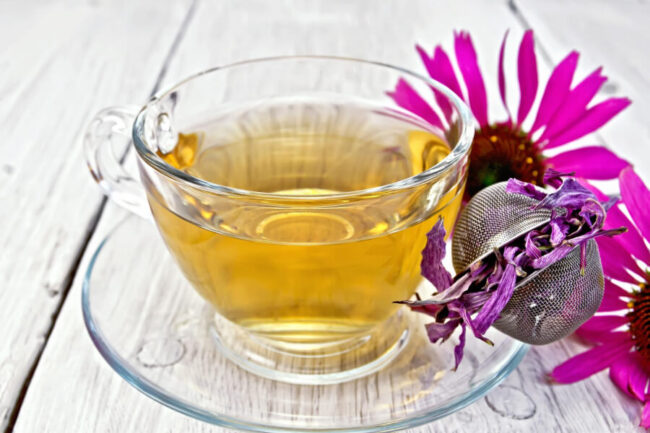 5 Echinacea Benefits and Contraindications: A Complete Guide